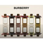 Burberry Garden Roses