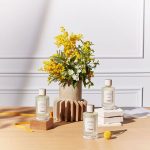 Chloe Atelier Des Fleurs Herba Mimosa