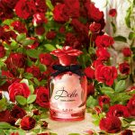 Dolce & Gabbana Dolce Rose