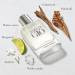 Giorgio Armani Acqua Di Gio Pour Homme