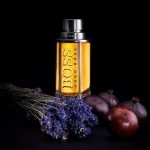 Hugo Boss The Scent