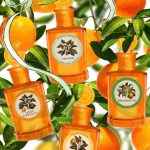 Monotheme Il Libro Degli Agrumi Zagara