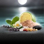 Mercedes Benz Man Bright