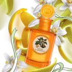 Monotheme Il Libro Degli Agrumi Verde Di Arancia