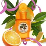 Monotheme Il Libro Degli Agrumi Verde Di Arancia