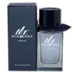 Mr. Burberry Indigo