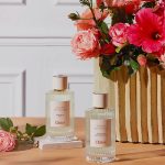 Chloe Atelier Des Fleurs Hibiscus Abelmoschus