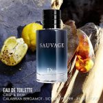 Dior Sauvage Eau de Toilette