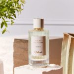 Chloe Atelier Des Fleurs Verbena